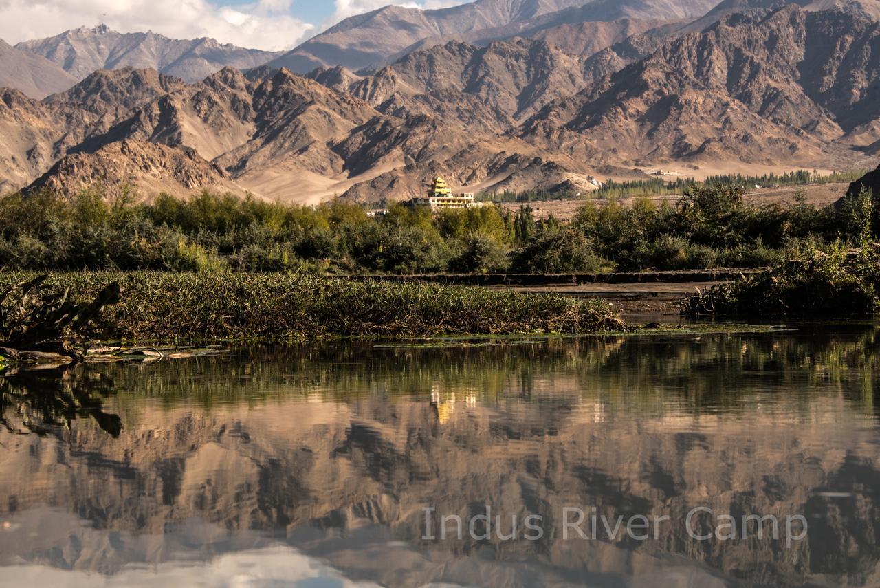 The Indus River Camp Leh Eksteriør bilde